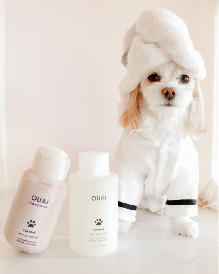 Chien en peignoir banc avec une serviette sur la tête et deux produits nettoyant de la marque OUAI debout à côté de lui